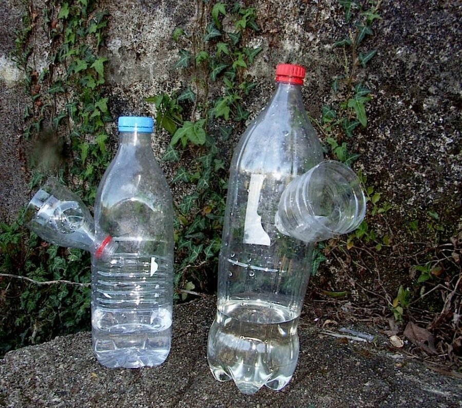 ¡Increíble Dilema! La Avispa Asiática en Galicia en 2025 2 trampas_avispas_velutina