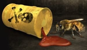 Entradas recientes 26 honeybee