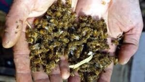 ue-toma-medidas-lanczos3