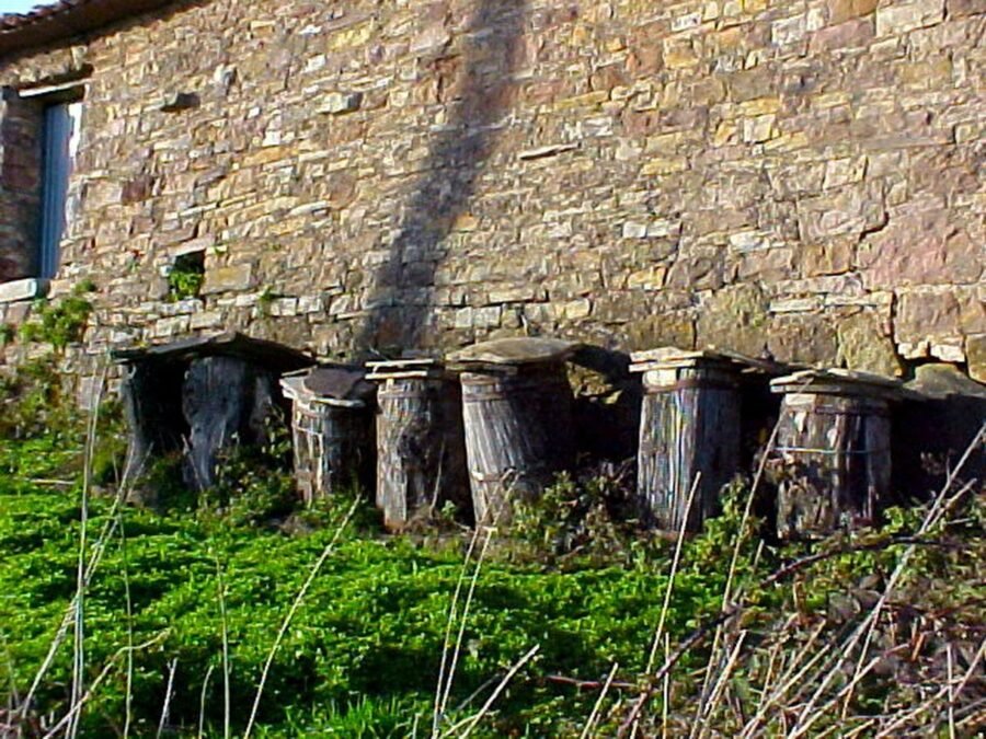 apicultura tradicional