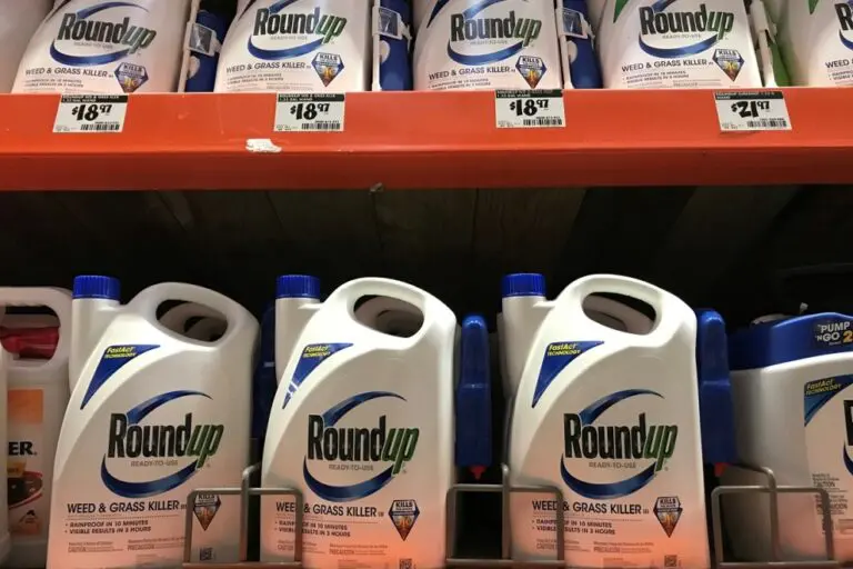 glifosato