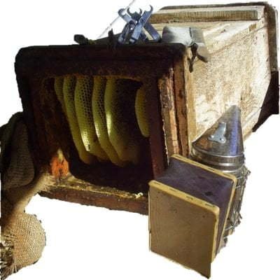 Descubre la Auténtica Apicultura Tradicional Española 3 tradicional