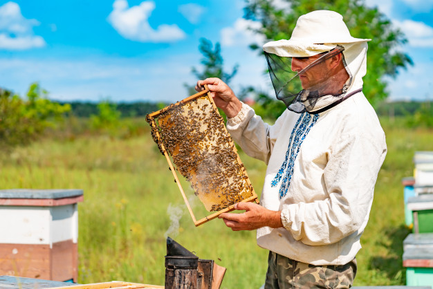 trajes-de-apicultura
