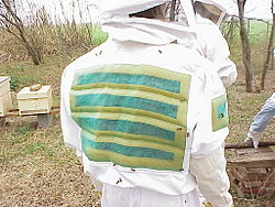 equipo de apicultor