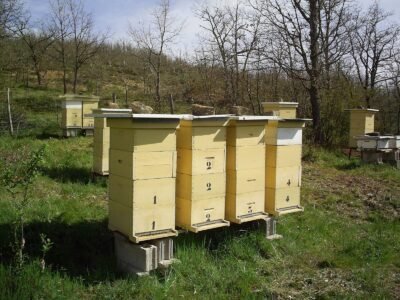 Descubre el Método Perone: Una Filosofía Natural 3 método perone