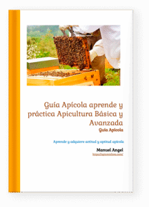 Todas las entradas 7 guía apícola
