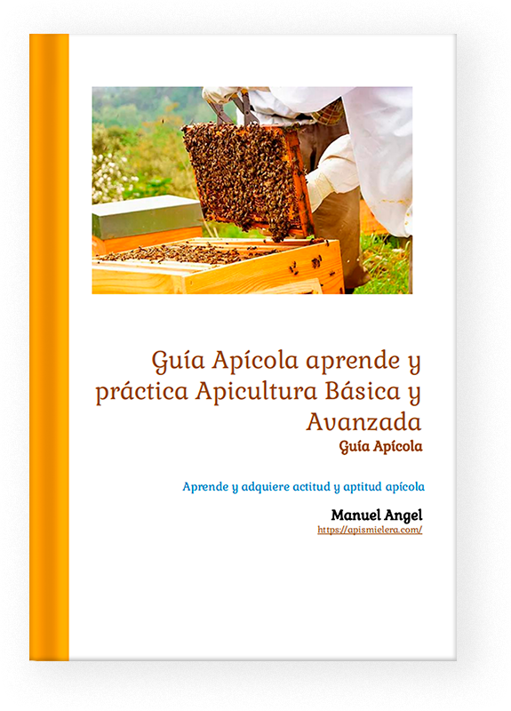 Ebook Apismielera 1 guía apícola
