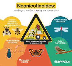 Neonicotinoides