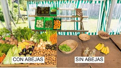 Rápida Disminución de Abejas: Causas, Consecuencias Reales y el Futuro de Nuestra Alimentación 1 disminución de abejas