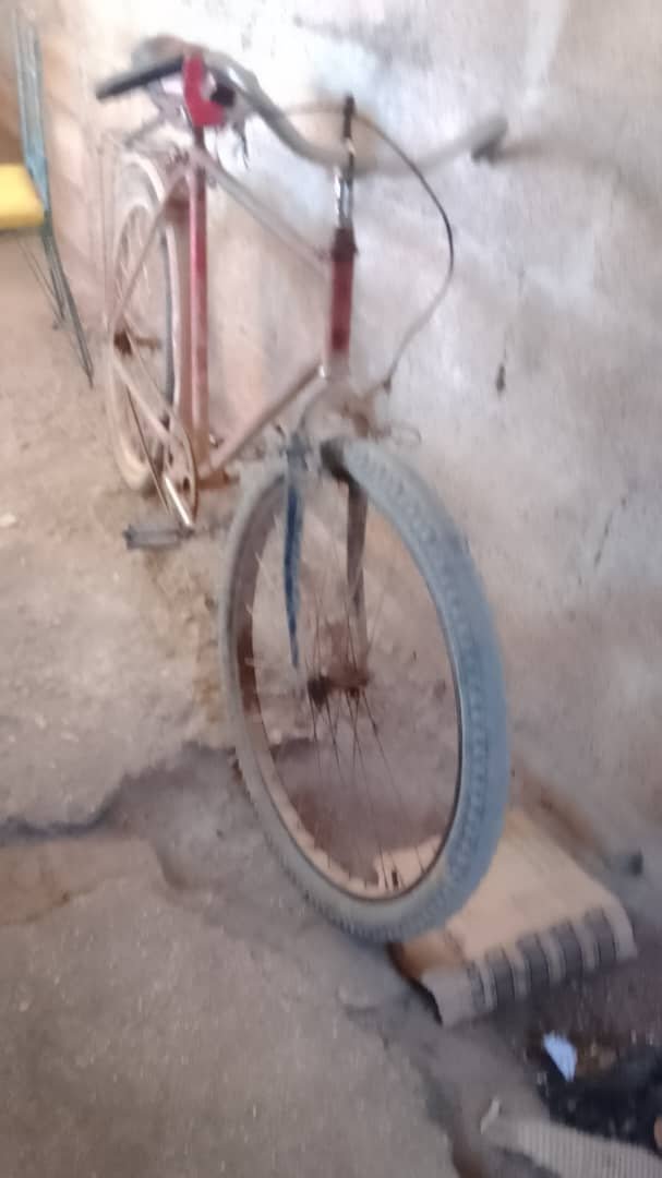 Apicultura para jóvenes 10 apicultura cubana